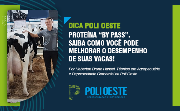 DICA POLI OESTE - JULHO