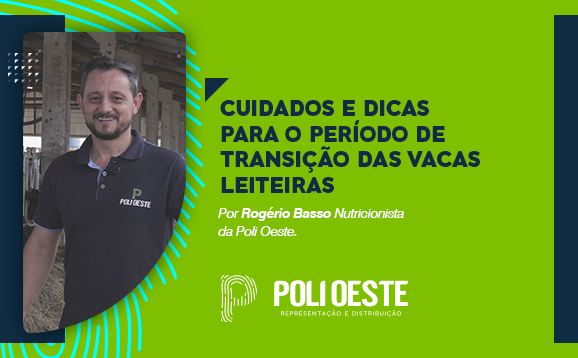 Período de Transição